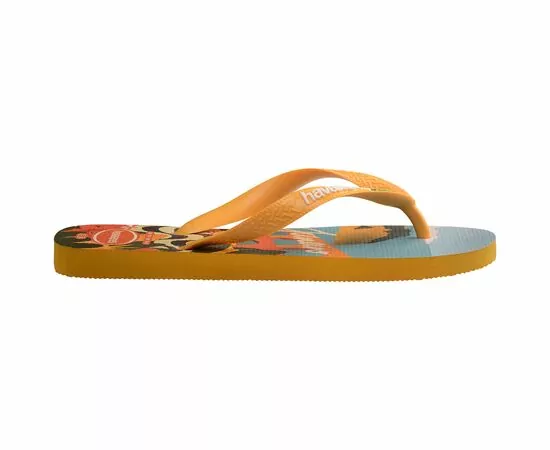 Chinelos Havaianas Top Postcard