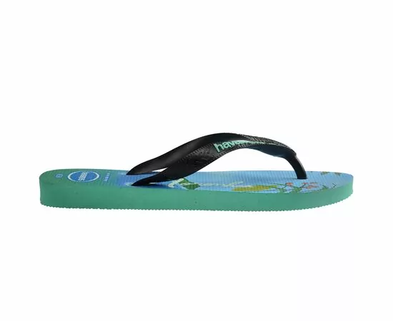 Chinelos Havaianas Top Postcard