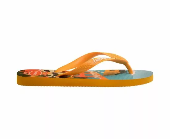 Chinelos Havaianas Top Postcard