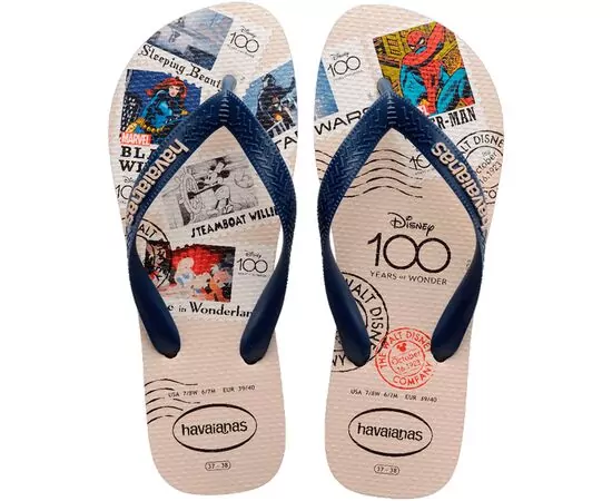 Chinelos Havaianas Top D100 Past