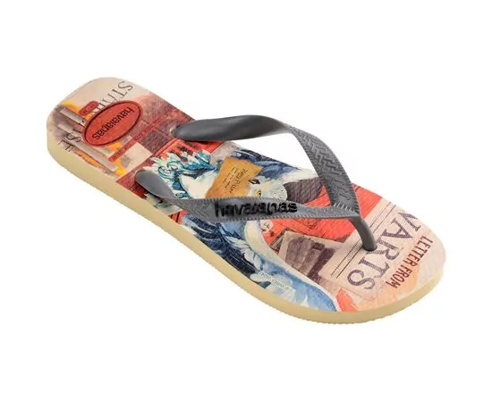 Chinelos Havaianas Top Warner Classics