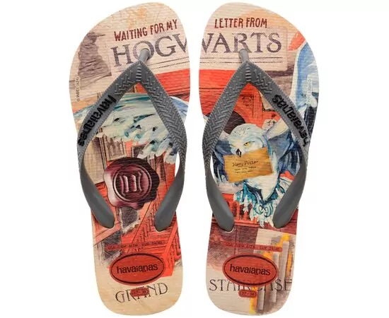 Chinelos Havaianas Top Warner Classics