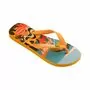 Chinelos Havaianas Top Postcard